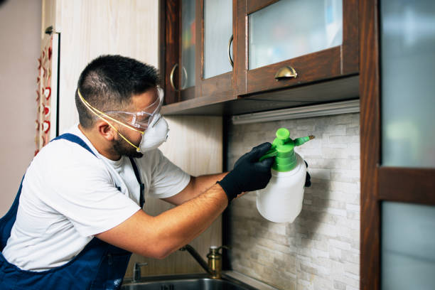 Best Insect Control  in Lowellville, OH