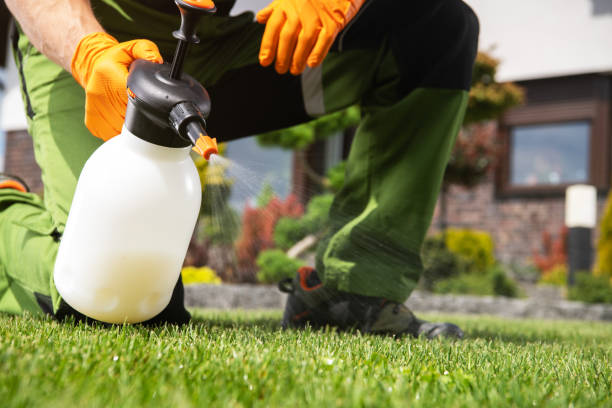 Best Emergency Pest Control  in Lowellville, OH