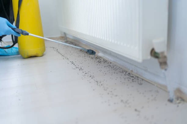 Best Residential Pest Control  in Lowellville, OH