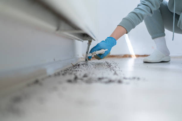 Best Exterminator Services  in Lowellville, OH